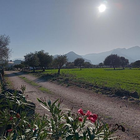 Agriturismo Sa Murta Dorgali Eksteriør billede