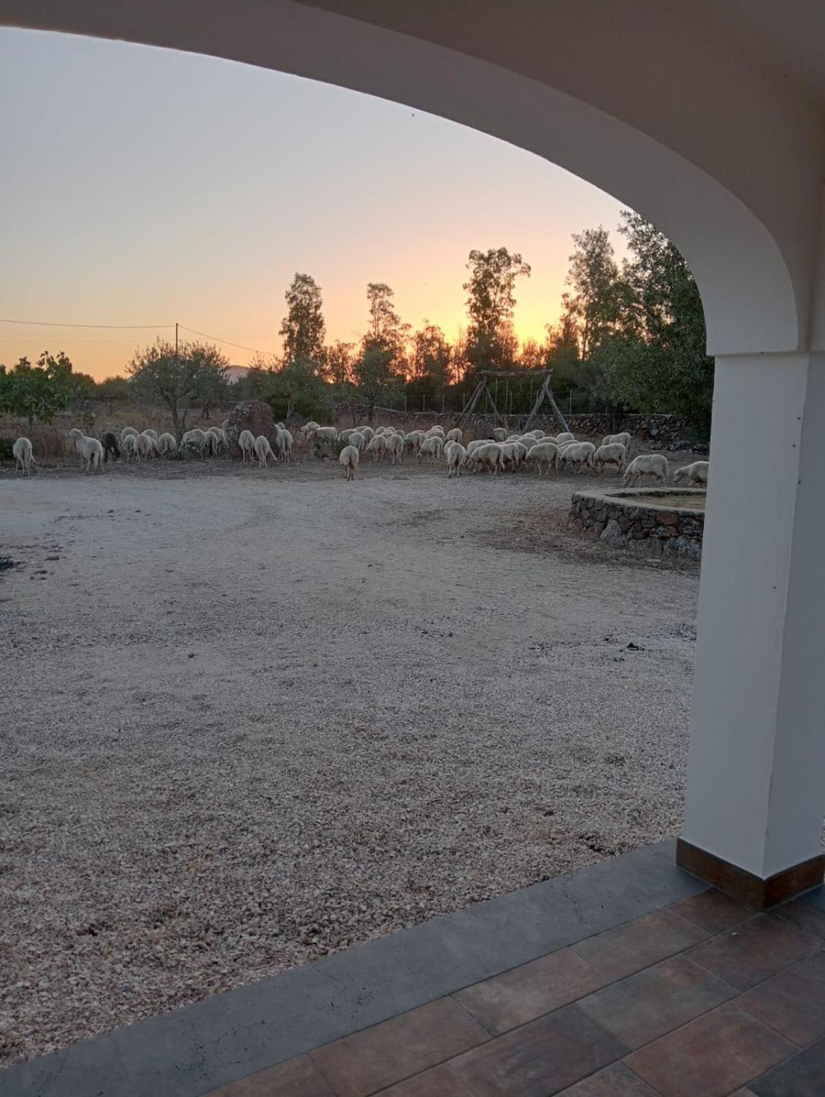 Agriturismo Sa Murta Dorgali Eksteriør billede