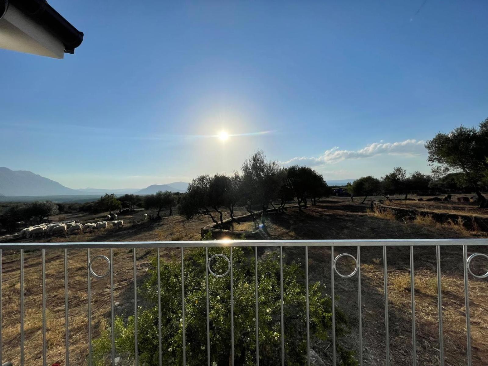 Agriturismo Sa Murta Dorgali Eksteriør billede