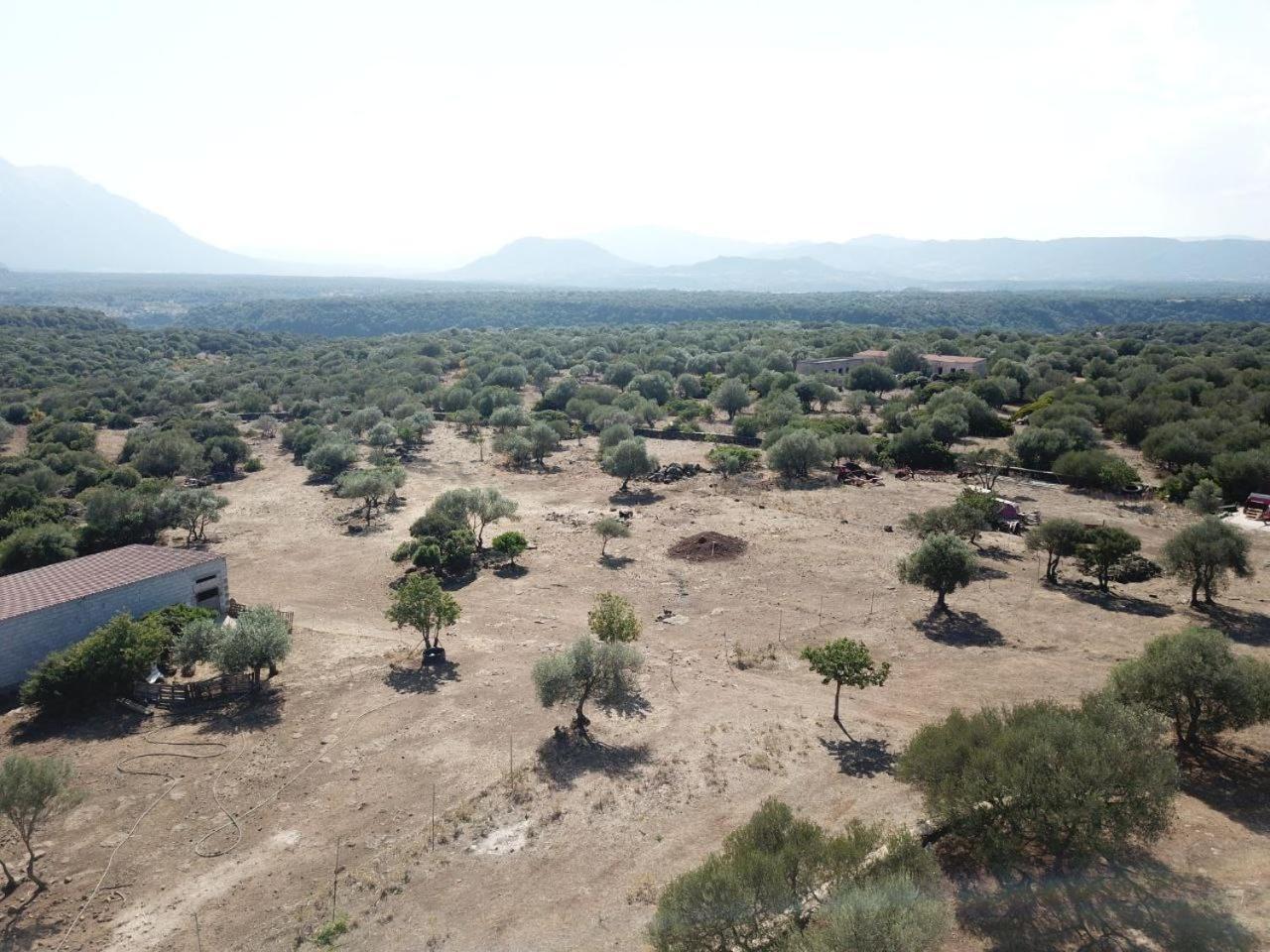 Agriturismo Sa Murta Dorgali Eksteriør billede