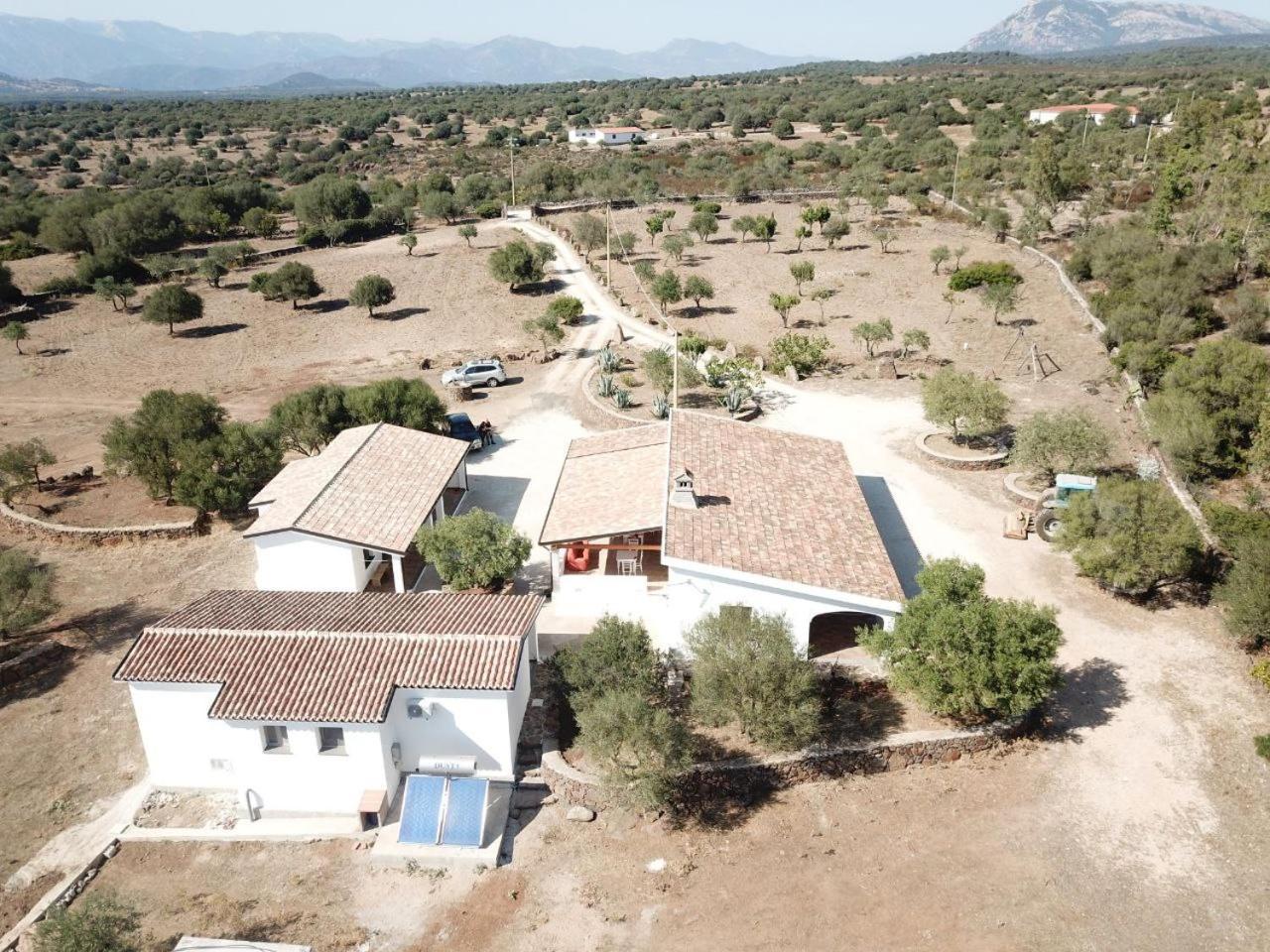 Agriturismo Sa Murta Dorgali Eksteriør billede