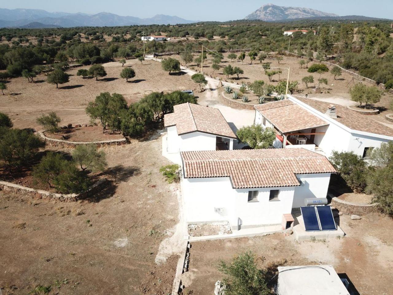 Agriturismo Sa Murta Dorgali Eksteriør billede