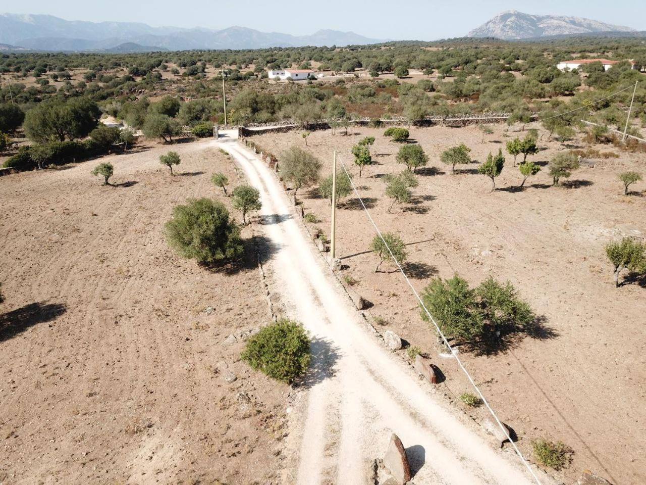 Agriturismo Sa Murta Dorgali Eksteriør billede
