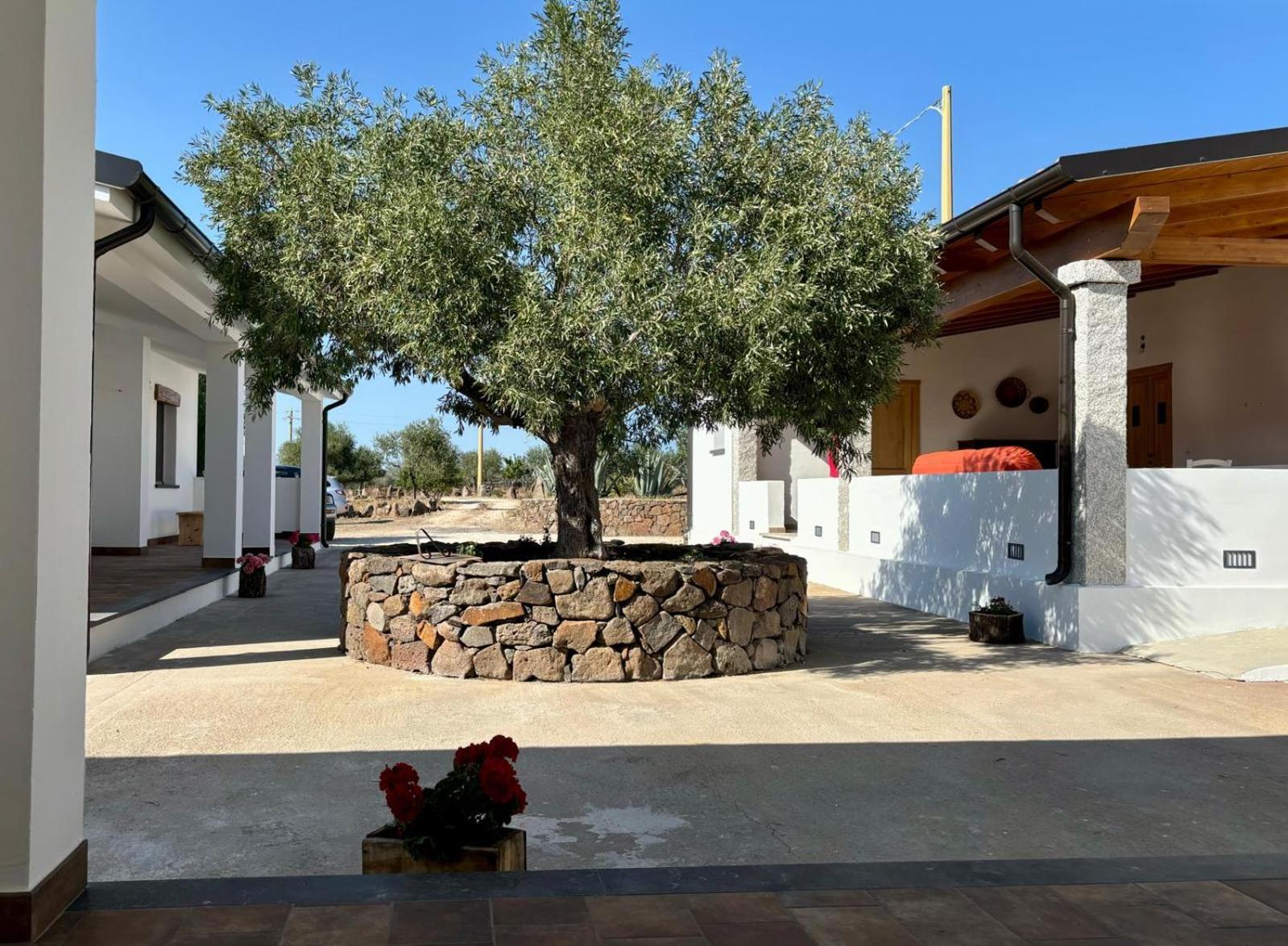 Agriturismo Sa Murta Dorgali Eksteriør billede