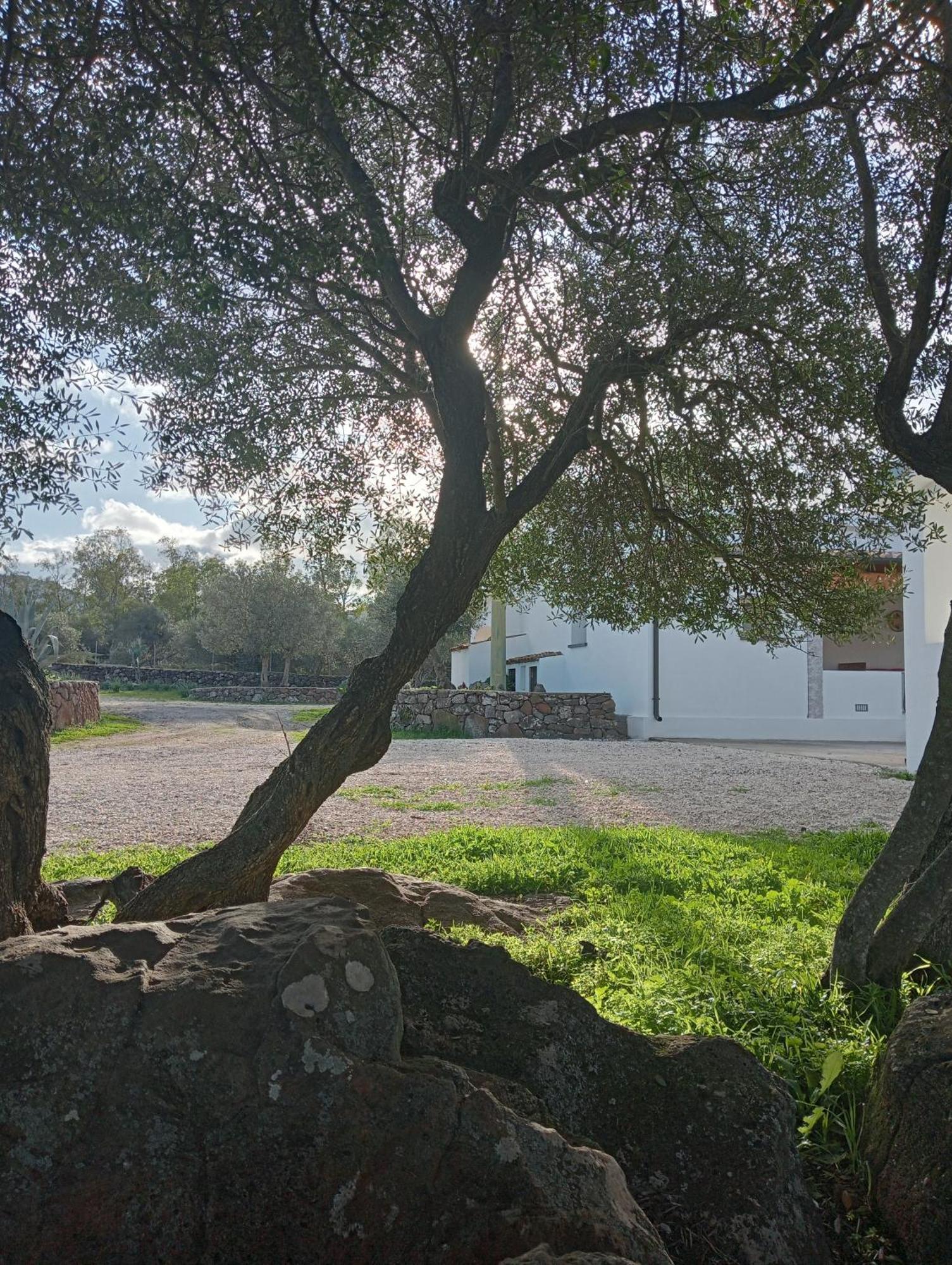 Agriturismo Sa Murta Dorgali Eksteriør billede