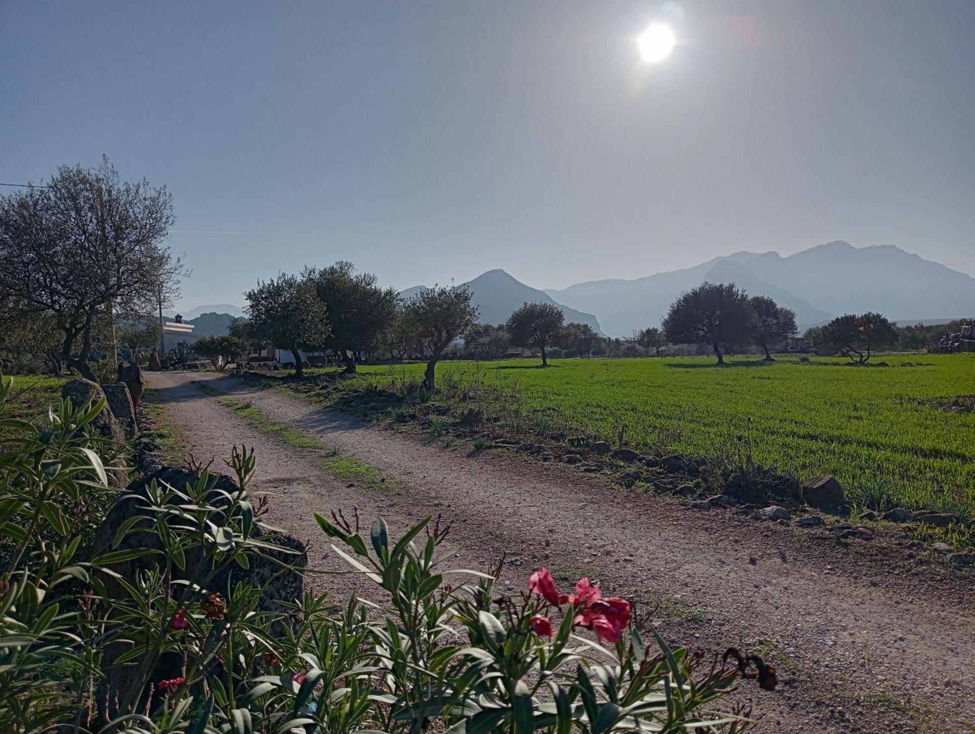 Agriturismo Sa Murta Dorgali Eksteriør billede