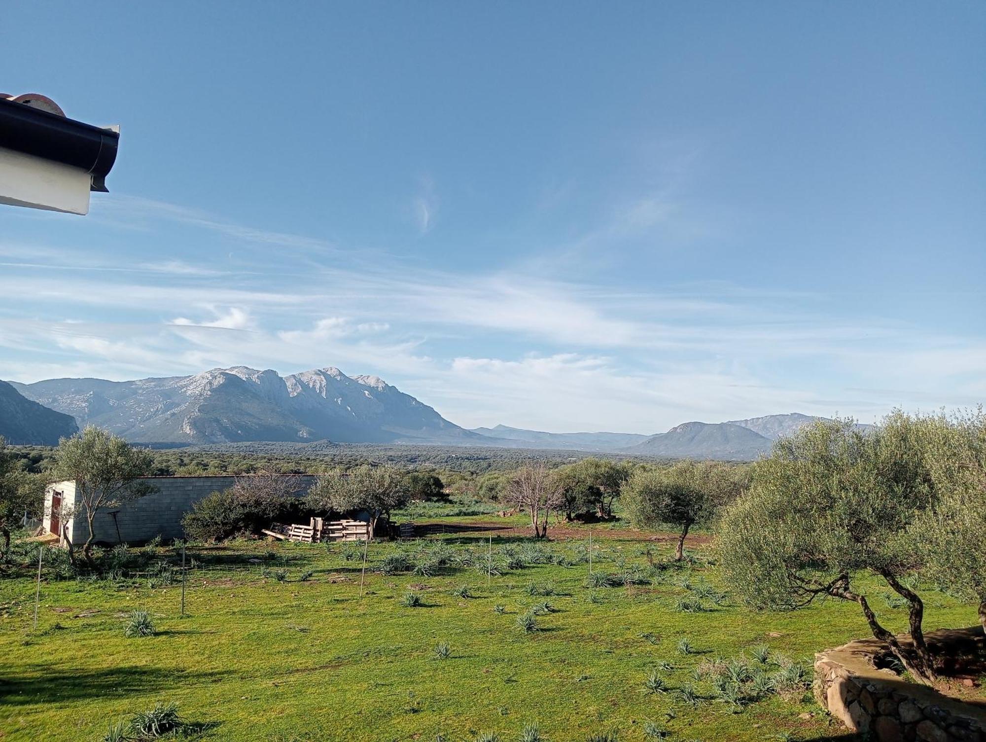 Agriturismo Sa Murta Dorgali Eksteriør billede
