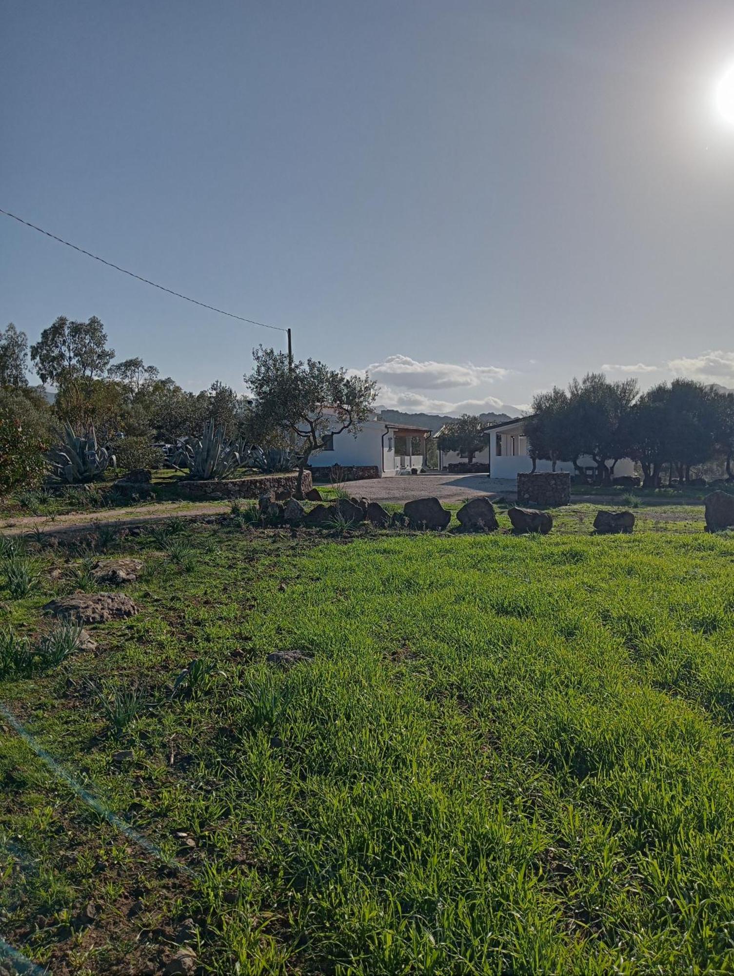 Agriturismo Sa Murta Dorgali Eksteriør billede